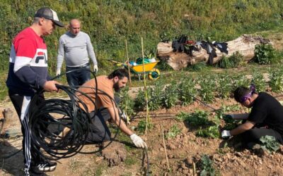 Voluntari/a per portar un hort
